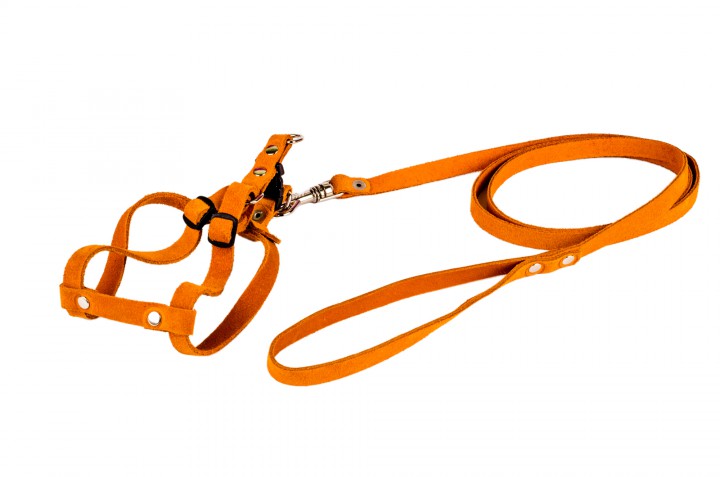 Комплект Йорк, шкіра, 12 мм